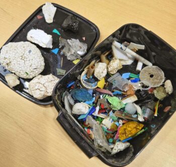 通信制高校 ゴミ拾い ゴミ マイクロプラスチック 環境問題 SDGs